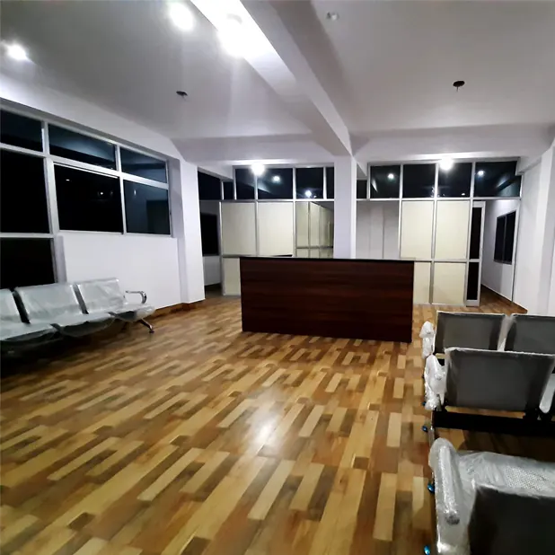 Dr H N Roy Mental Clinic Interior